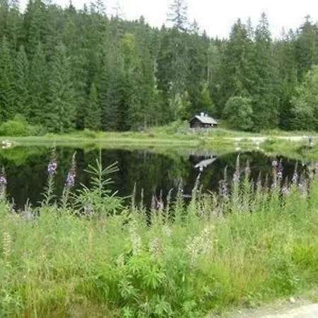 Bayerwald-ferienhaus * Philippsreut