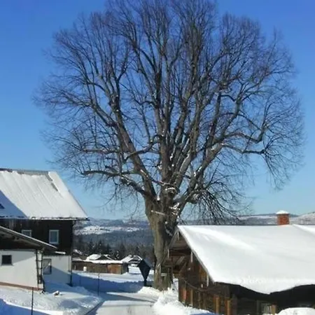 Bayerwald-ferienhaus